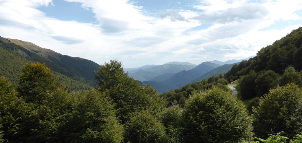 Bedbreakfastbikespyrenees Bed & Breakfast Loubieres Bagian luar foto