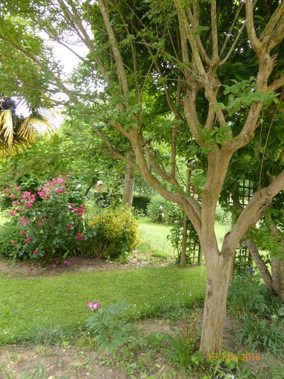 Bedbreakfastbikespyrenees Bed & Breakfast Loubieres Bagian luar foto